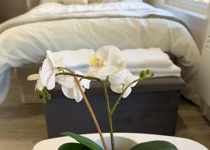 Studio Flat 20 Min From City Center London